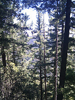 IMG_20110625_115145.jpg: 1944x2592, 1798k (June 25, 2011, at 05:51 PM)