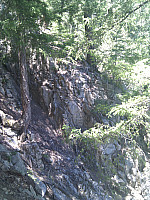IMG_20110625_121258.jpg: 1944x2592, 1459k (June 25, 2011, at 06:12 PM)