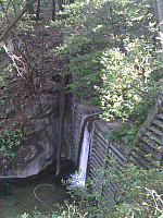 IMG_20110625_165253.jpg: 1944x2592, 1114k (June 25, 2011, at 10:52 PM)