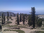 IMG_20110702_130028.jpg: 2592x1944, 1212k (July 02, 2011, at 07:00 PM)