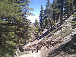 IMG_20110702_134605.jpg: 2592x1944, 1846k (July 02, 2011, at 07:46 PM)