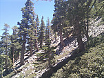 IMG_20110702_134608.jpg: 2592x1944, 1731k (July 02, 2011, at 07:46 PM)