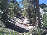 IMG_20110702_134744.jpg: 2592x1944, 1764k (July 02, 2011, at 07:47 PM)