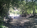 IMG_20110708_083213.jpg: 2592x1944, 1428k (July 08, 2011, at 02:32 PM)