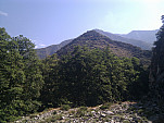 IMG_20110708_092948.jpg: 2592x1944, 1194k (July 08, 2011, at 03:29 PM)