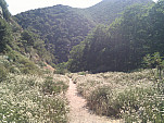 IMG_20110708_154257.jpg: 2592x1944, 1560k (July 08, 2011, at 09:42 PM)