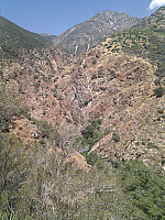 IMG_20110708_112246.jpg: 1944x2592, 1701k (July 08, 2011, at 05:22 PM)