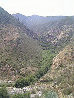 IMG_20110708_134616.jpg: 1944x2592, 1270k (July 08, 2011, at 07:46 PM)