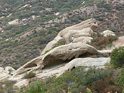 P1000099.jpg: 4320x3240, 5329k (July 31, 2011, at 05:50 PM)