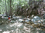 P1000263.jpg: 4320x3240, 5672k (August 13, 2011, at 06:28 PM)