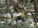 P1000264.jpg: 4320x3240, 5490k (August 13, 2011, at 06:29 PM)
