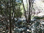 P1000265.jpg: 4320x3240, 5487k (August 13, 2011, at 06:29 PM)