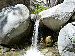 P1000297.jpg: 4320x3240, 5805k (August 13, 2011, at 08:34 PM)