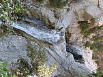 P1000302.jpg: 4320x3240, 6314k (August 13, 2011, at 10:04 PM)