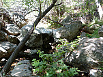 P1000521.jpg: 4320x3240, 5594k (October 02, 2011, at 06:21 AM)