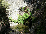 P1000523.jpg: 4320x3240, 5544k (October 02, 2011, at 06:21 AM)