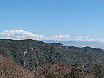 P1000562.jpg: 4320x3240, 5301k (October 02, 2011, at 06:21 AM)