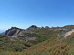 P1000712.jpg: 4320x3240, 5684k (October 10, 2011, at 05:41 AM)