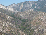 P1000785.jpg: 4320x3240, 5496k (October 16, 2011, at 06:50 AM)