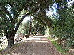 P1010182.jpg: 4320x3240, 5659k (December 21, 2011, at 05:08 AM)
