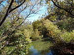 P1010244.jpg: 4320x3240, 5918k (December 21, 2011, at 05:10 AM)