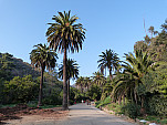 P1010430.jpg: 4320x3240, 5588k (January 09, 2012, at 08:47 AM)