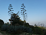 P1010439.jpg: 4320x3240, 5499k (January 09, 2012, at 08:50 AM)