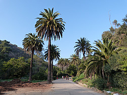 P1010430.jpg: 4320x3240, 5588k (January 09, 2012, at 08:47 AM)