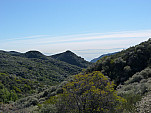P1010539.jpg: 4320x3240, 5394k (January 14, 2012, at 09:33 PM)