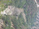 P1010570.jpg: 4320x3240, 5892k (January 16, 2012, at 08:36 AM)