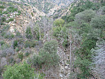 P1010579.jpg: 4320x3240, 5989k (January 16, 2012, at 08:41 AM)
