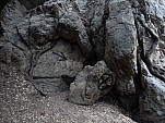 P1010647.jpg: 4320x3240, 5477k (January 16, 2012, at 08:44 AM)