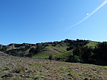 P1010719.jpg: 4320x3240, 5594k (February 05, 2012, at 09:50 AM)