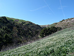 P1010723.jpg: 4320x3240, 5757k (February 05, 2012, at 09:52 AM)