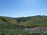 P1010733.jpg: 4320x3240, 5382k (February 05, 2012, at 09:54 AM)