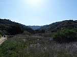 P1010890.jpg: 4320x3240, 5484k (February 20, 2012, at 07:29 AM)