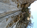 P1010903.jpg: 4320x3240, 5533k (February 20, 2012, at 07:38 AM)