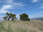 P1010945.jpg: 4320x3240, 5209k (February 20, 2012, at 07:41 AM)
