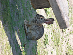 P1020352.jpg: 4320x3240, 5673k (March 06, 2012, at 02:06 AM)