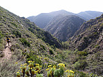 P1020627.jpg: 4320x3240, 5798k (March 12, 2012, at 11:14 PM)