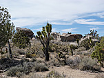 P1020716.jpg: 4320x3240, 5734k (March 20, 2012, at 08:15 PM)