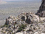 P1020750.jpg: 4320x3240, 5729k (March 20, 2012, at 08:15 PM)