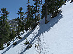 P1030342.jpg: 4320x3240, 5664k (April 09, 2012, at 09:24 PM)