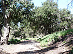 P1030400.jpg: 4320x3240, 5966k (April 16, 2012, at 06:07 PM)