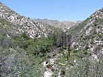 P1030650.jpg: 4320x3240, 5292k (April 30, 2012, at 05:05 AM)