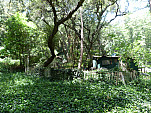 P1030690.jpg: 4320x3240, 5623k (May 08, 2012, at 12:57 AM)