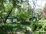 P1030717.jpg: 4320x3240, 5610k (May 08, 2012, at 12:58 AM)