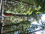 P1030873.jpg: 4320x3240, 5719k (June 13, 2012, at 05:14 AM)