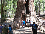 P1030930.jpg: 4320x3240, 5498k (June 13, 2012, at 05:23 AM)
