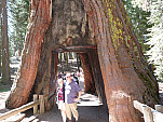 P1030950.jpg: 4320x3240, 5974k (June 13, 2012, at 05:34 AM)